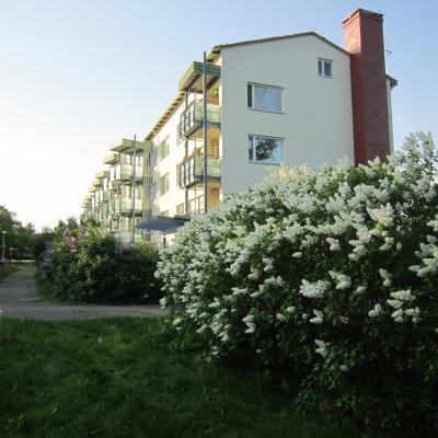 Taloyhtiö - pohjoispääty